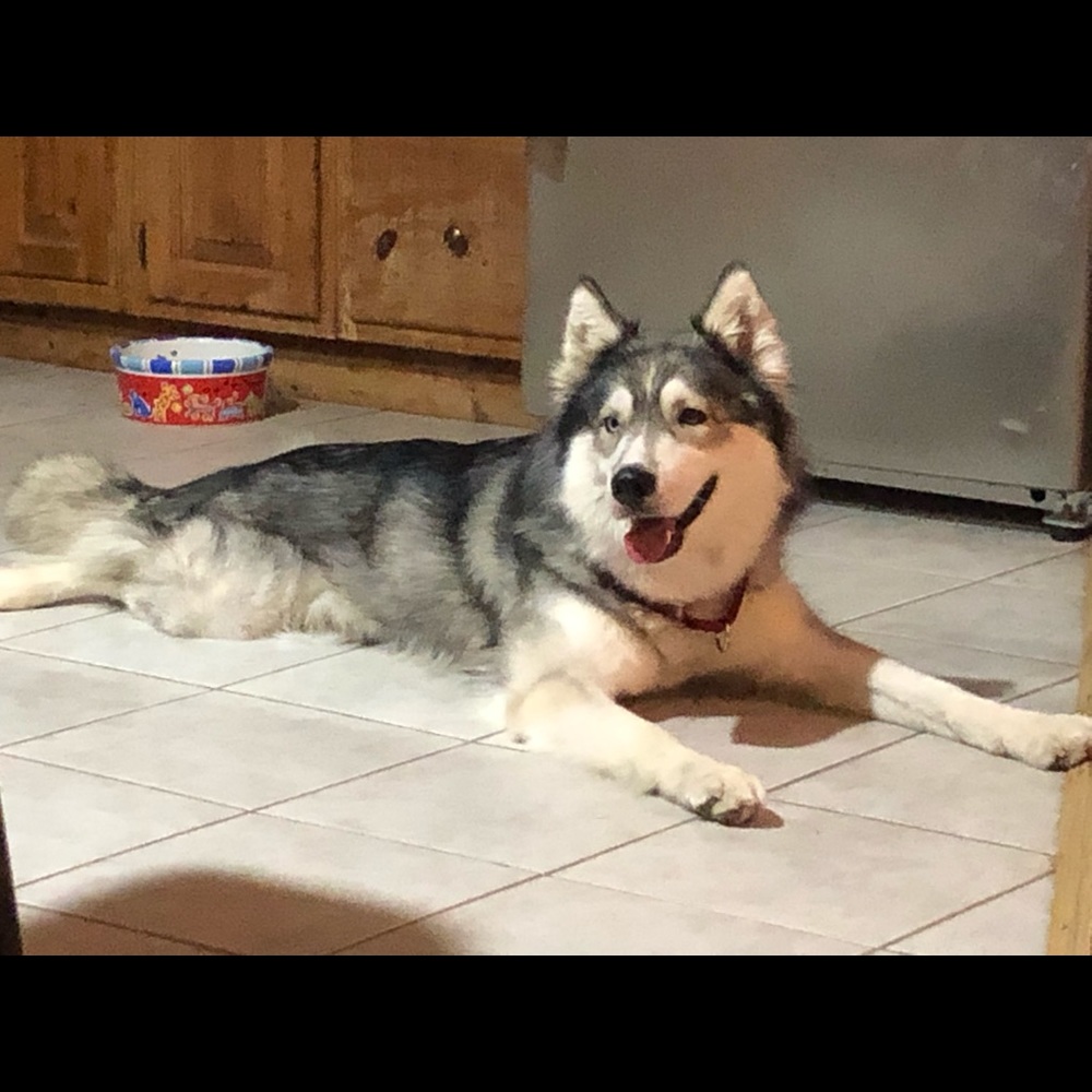 Meet your Posher, Melanie